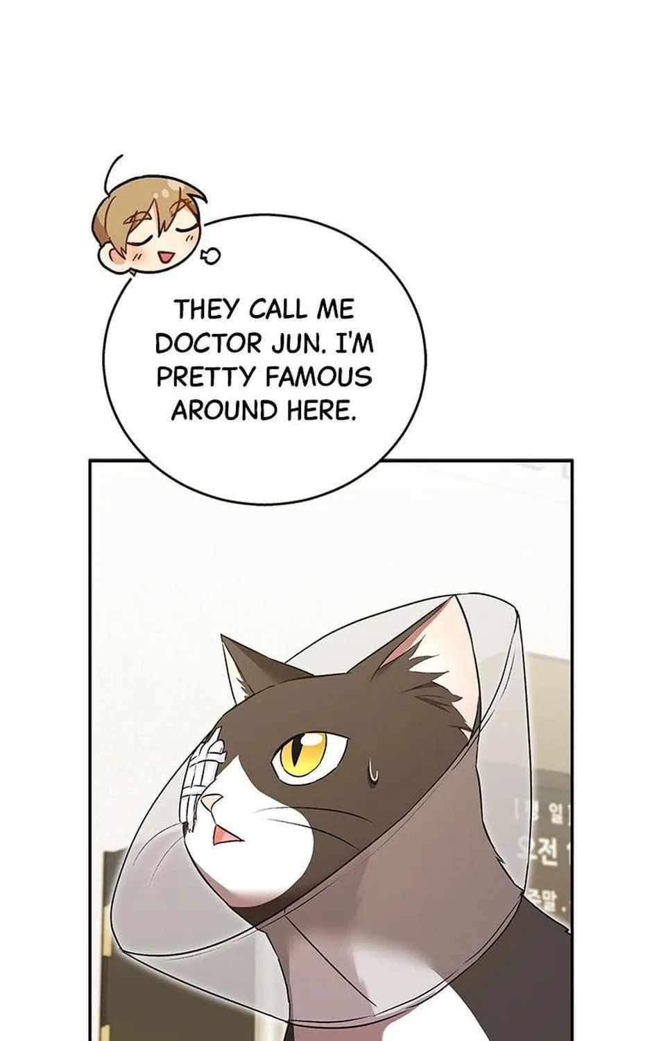 Veterinarian! Hello? Chapter 28 page 11 - 