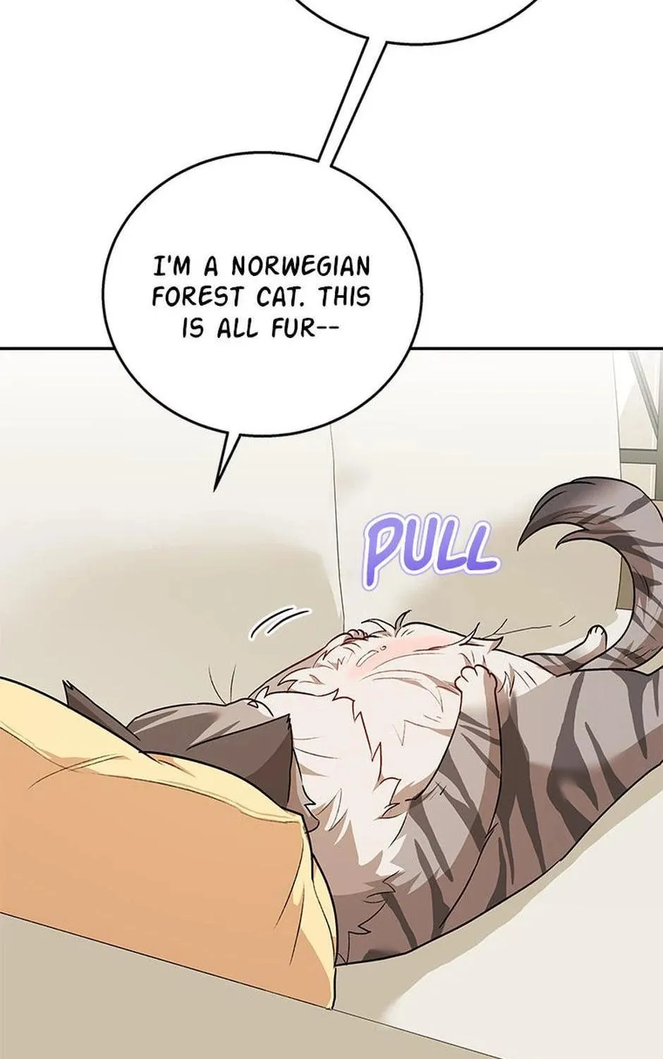 Veterinarian! Hello? Chapter 28 page 103 - 