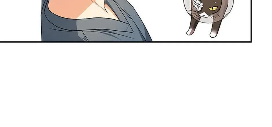 Veterinarian! Hello? Chapter 28 page 14 - 