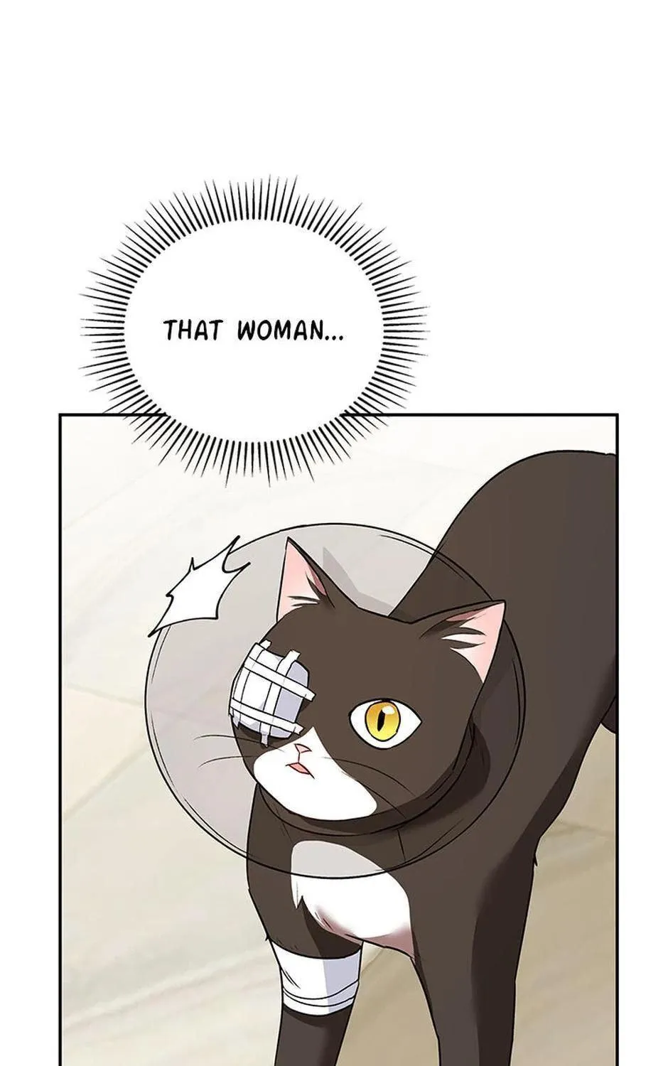 Veterinarian! Hello? Chapter 28 page 19 - 