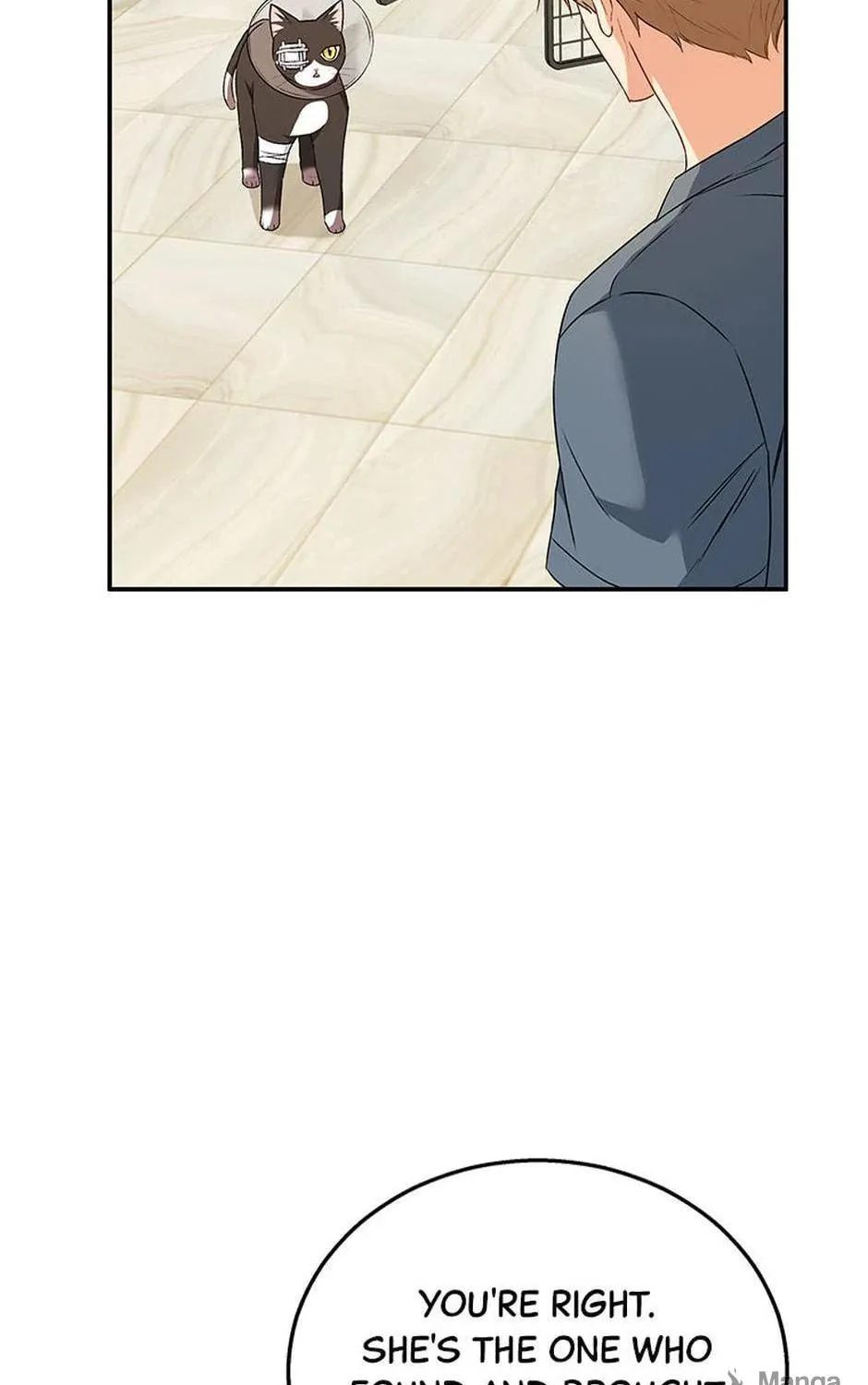 Veterinarian! Hello? Chapter 28 page 35 - 