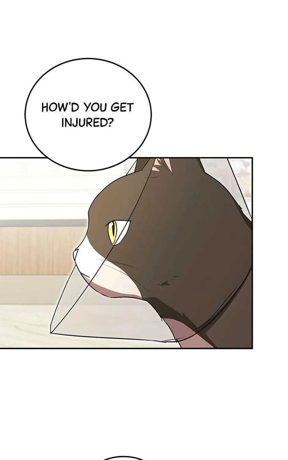 Veterinarian! Hello? Chapter 28 page 71 - 