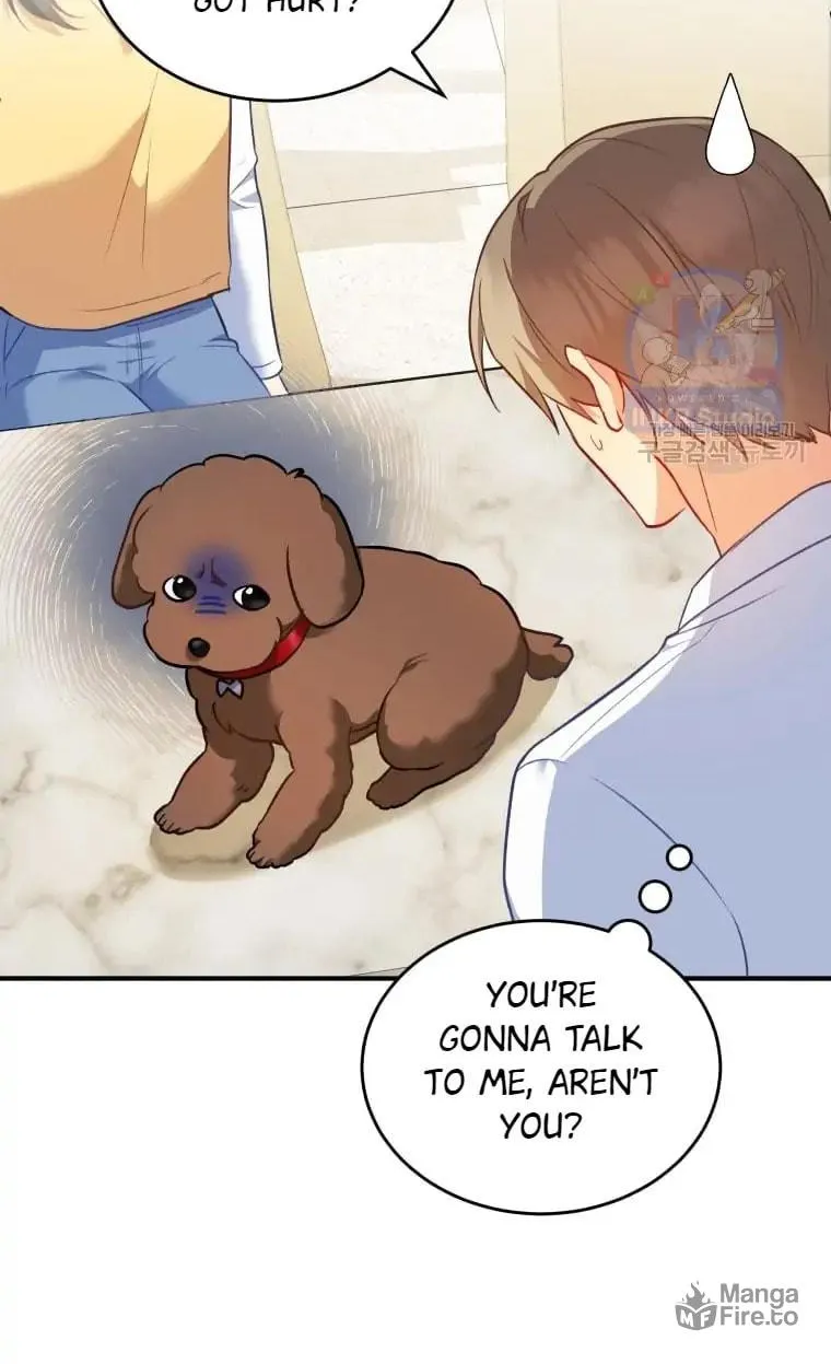 Veterinarian! Hello? Chapter 3 page 13 - 