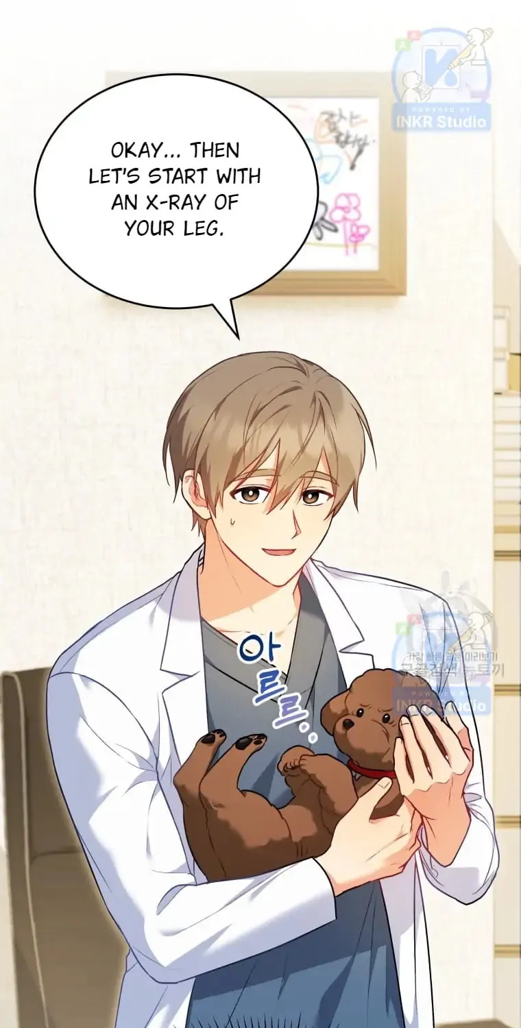 Veterinarian! Hello? Chapter 3 page 17 - 