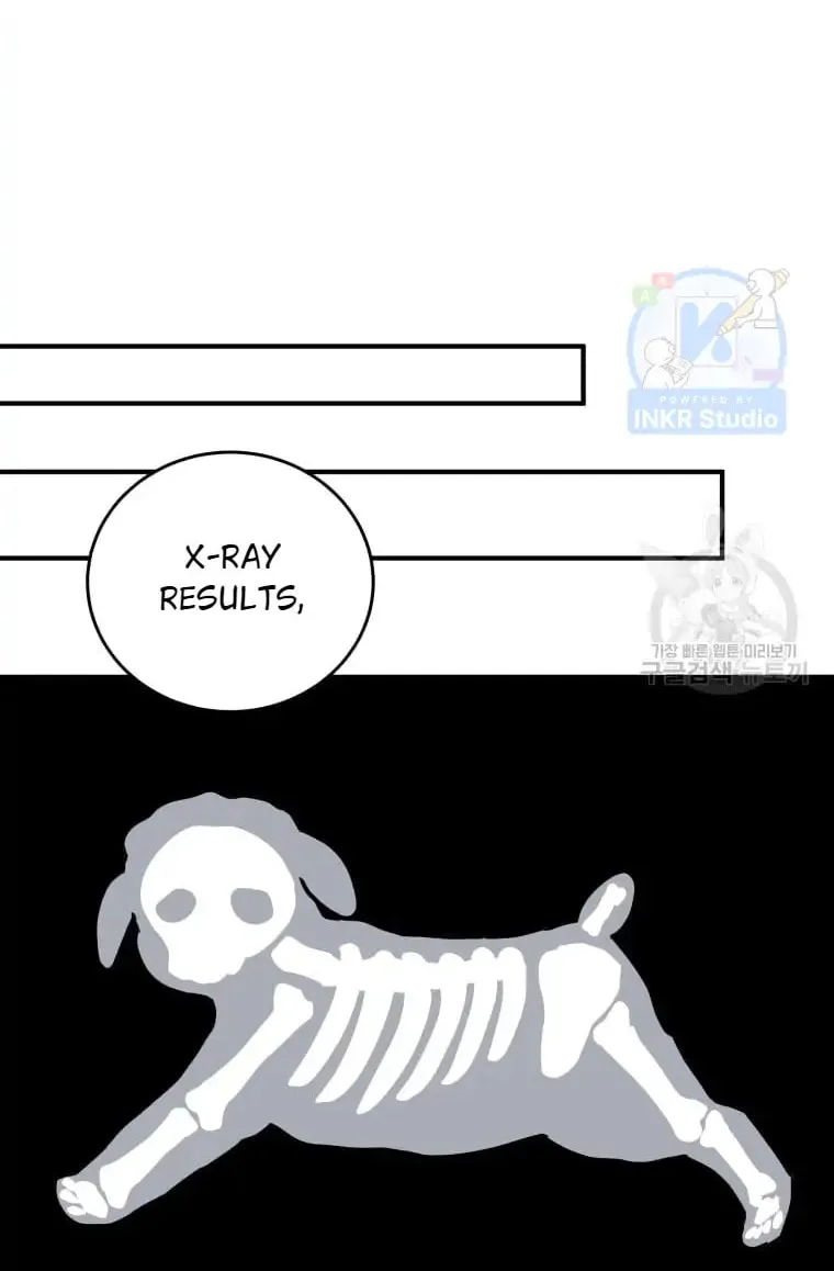 Veterinarian! Hello? Chapter 3 page 22 - 