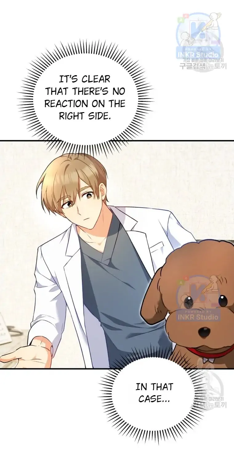 Veterinarian! Hello? Chapter 3 page 51 - 
