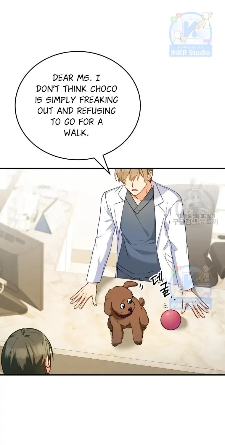 Veterinarian! Hello? Chapter 3 page 54 - 