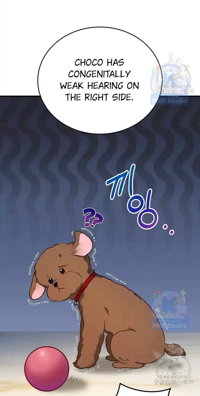 Veterinarian! Hello? Chapter 3 page 55 - 