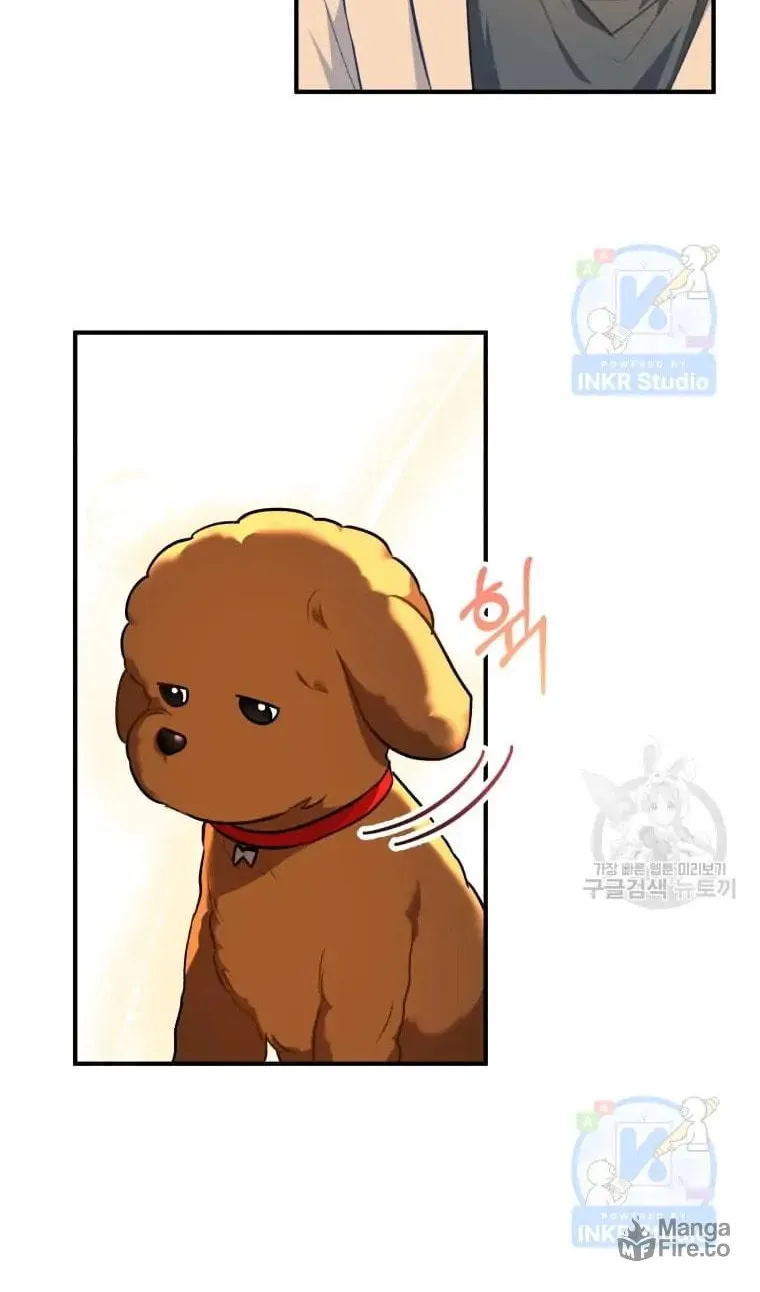 Veterinarian! Hello? Chapter 3 page 67 - 