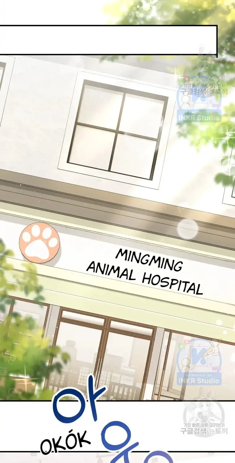 Veterinarian! Hello? Chapter 3 page 69 - 