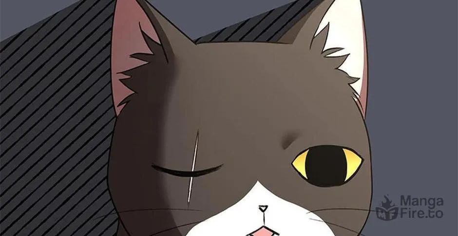 Veterinarian! Hello? Chapter 30 page 66 - 