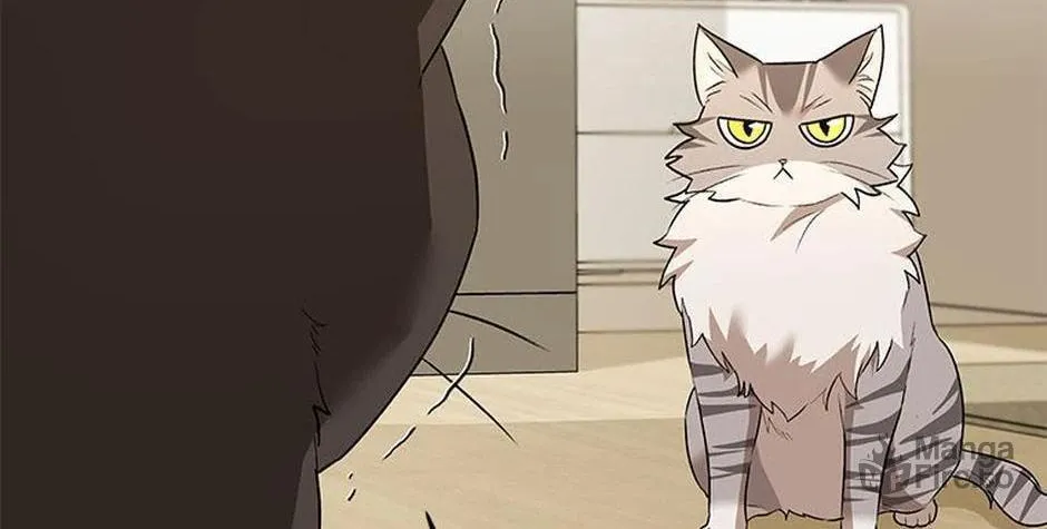 Veterinarian! Hello? Chapter 30 page 90 - 