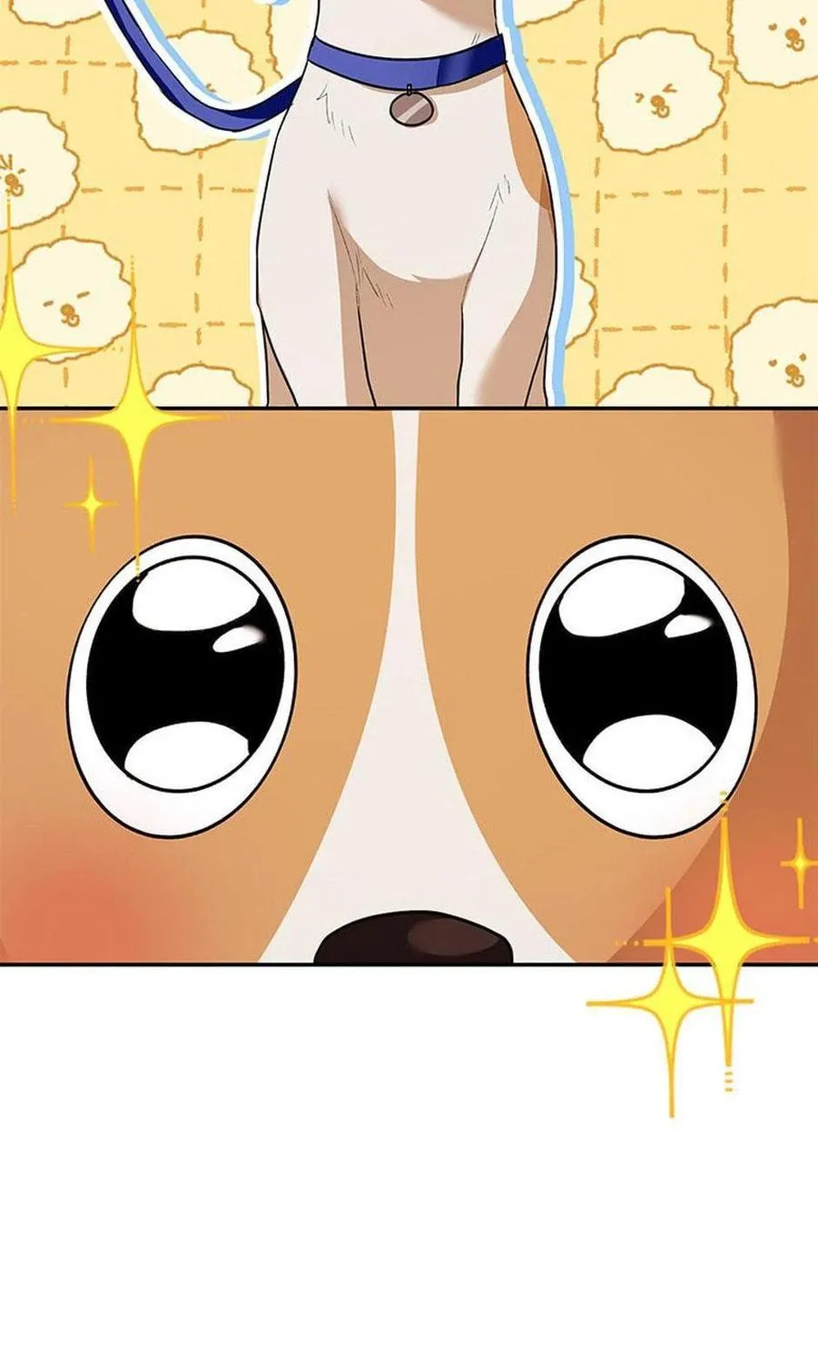 Veterinarian! Hello? Chapter 31 page 101 - 