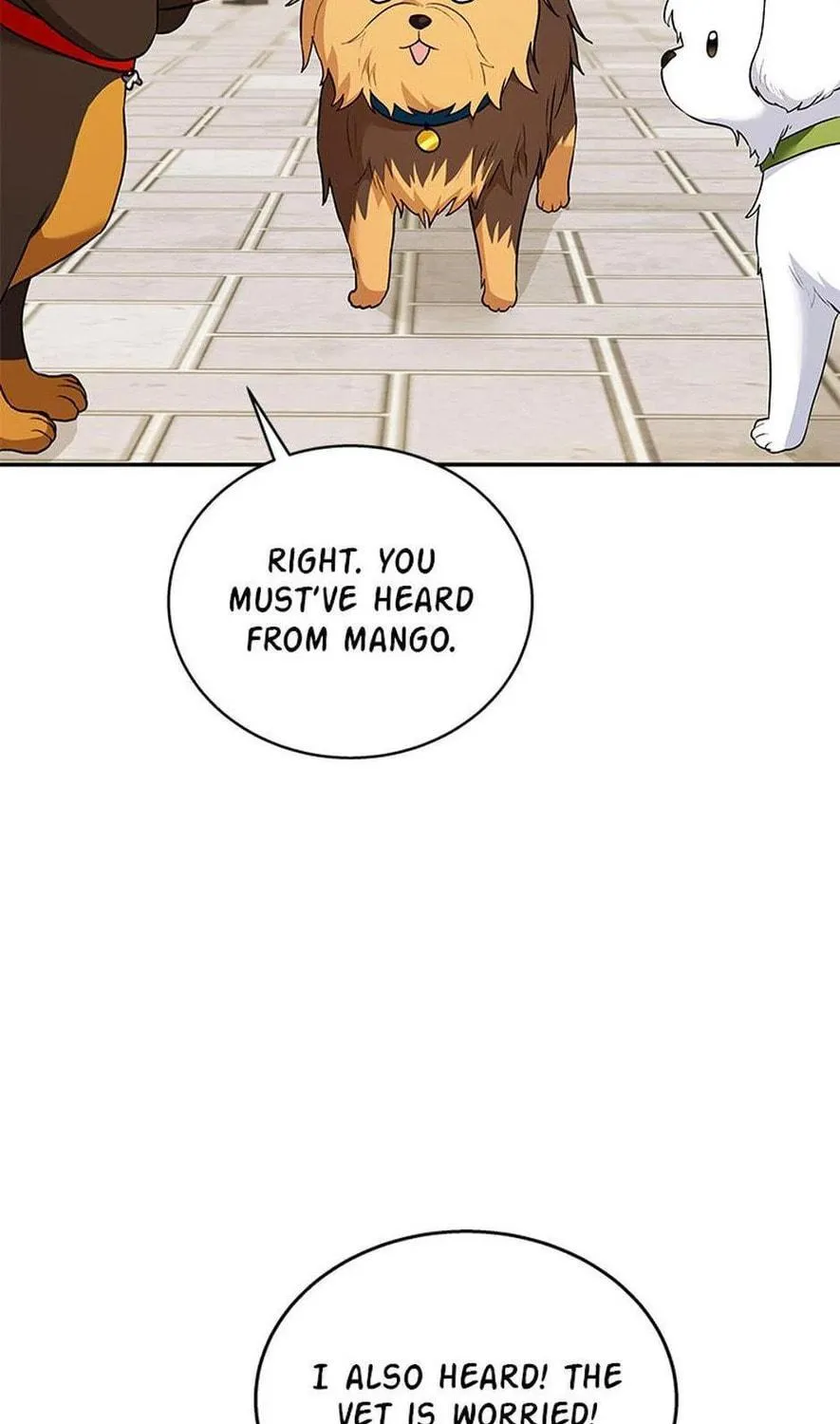 Veterinarian! Hello? Chapter 31 page 107 - 