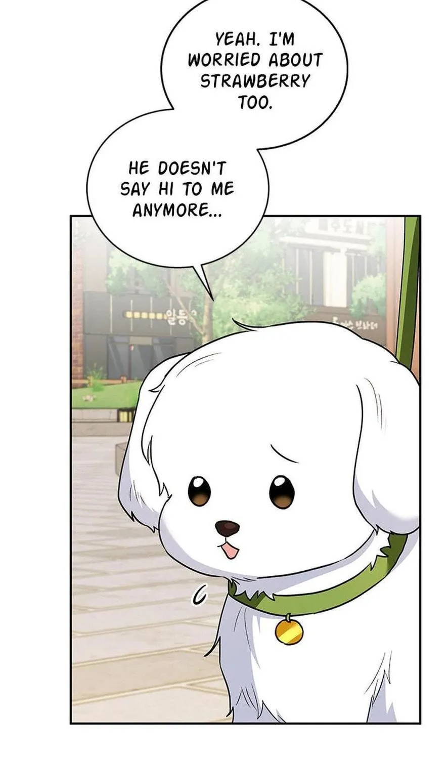Veterinarian! Hello? Chapter 31 page 113 - 