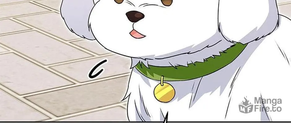 Veterinarian! Hello? Chapter 32 page 114 - 
