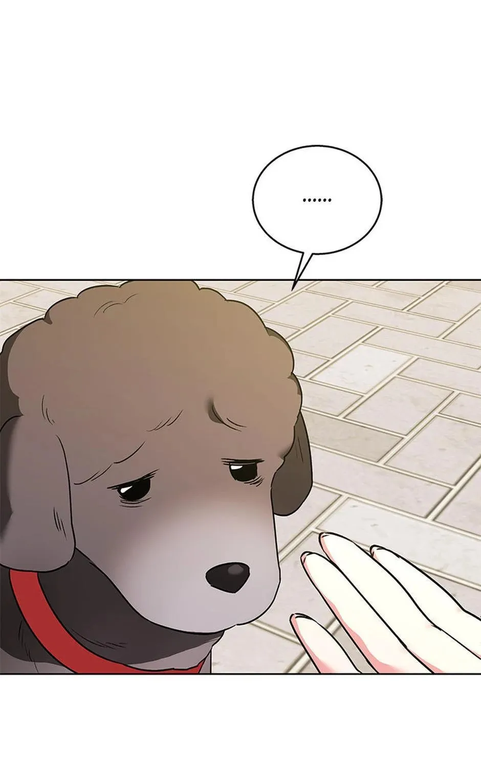 Veterinarian! Hello? Chapter 32 page 133 - 