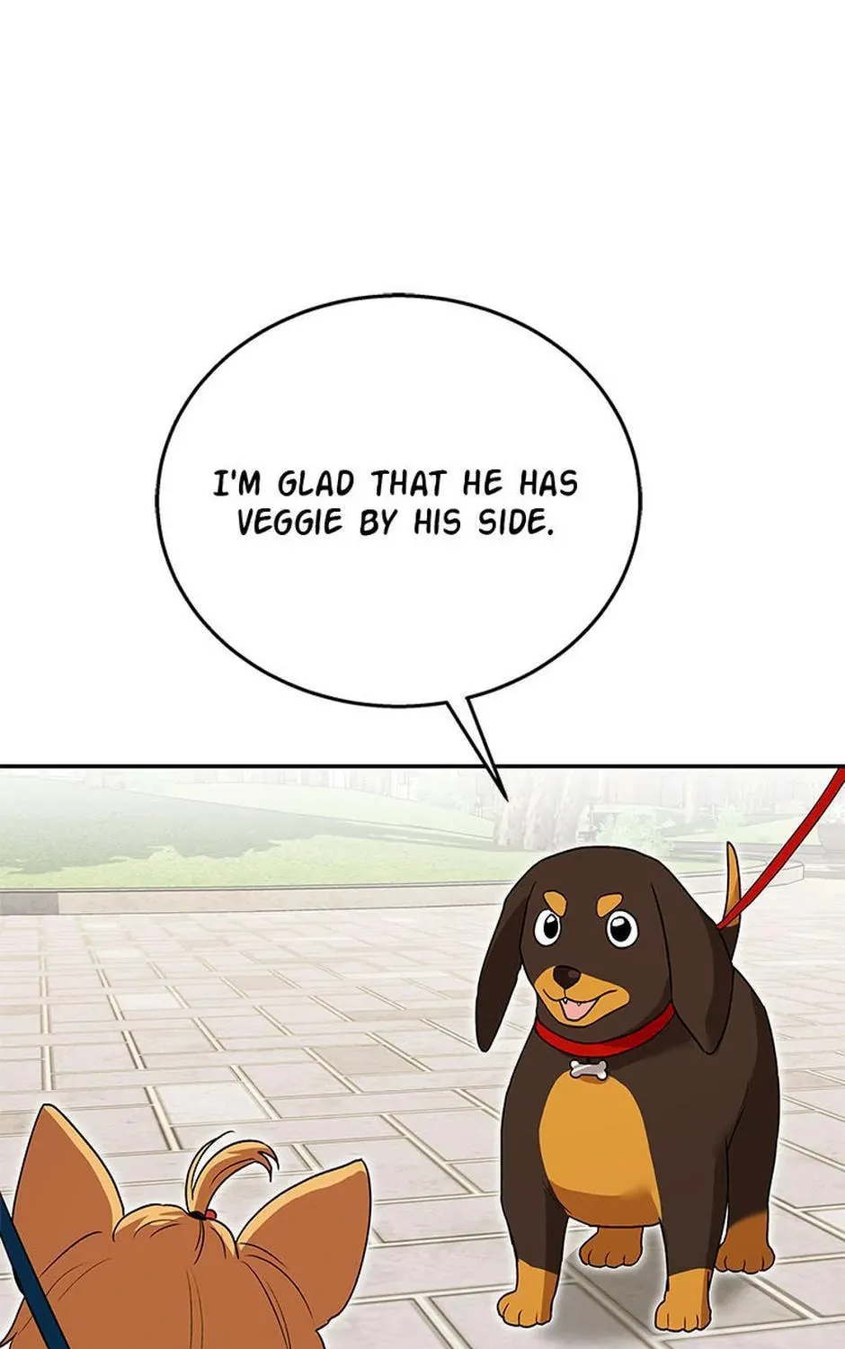 Veterinarian! Hello? Chapter 32 page 25 - 