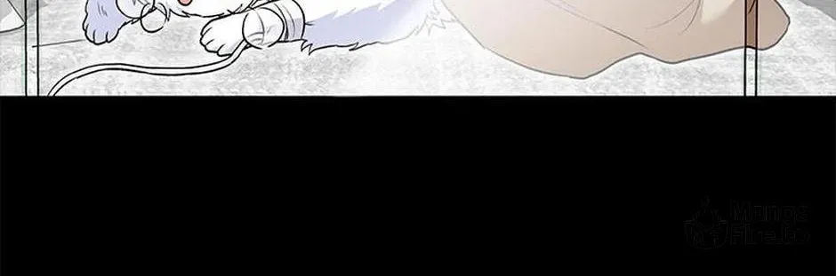 Veterinarian! Hello? Chapter 32 page 6 - 