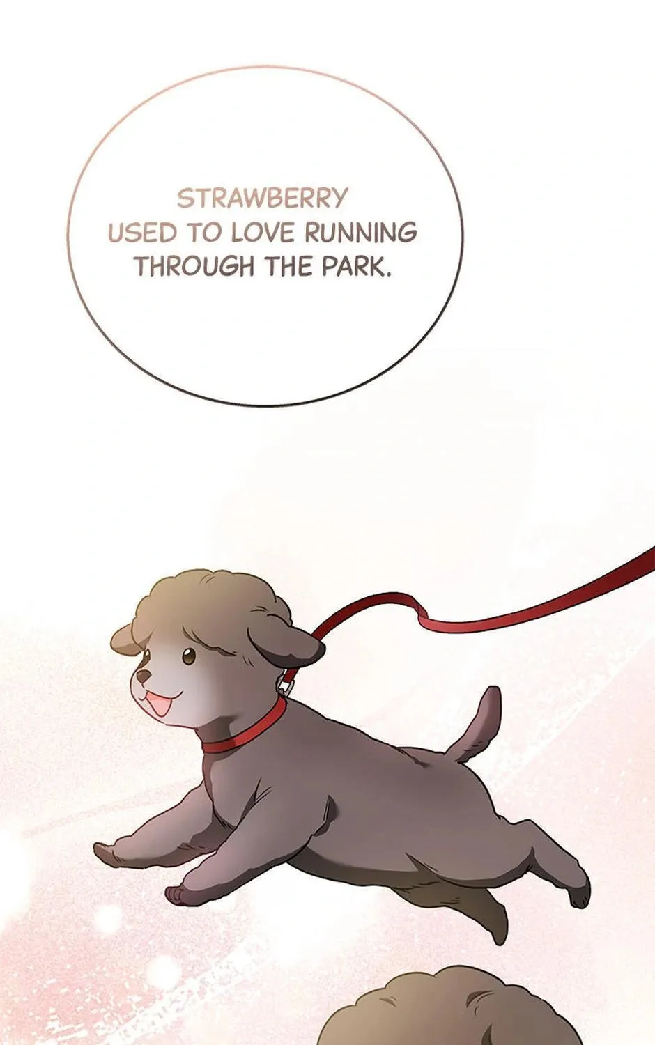 Veterinarian! Hello? Chapter 33 page 13 - 