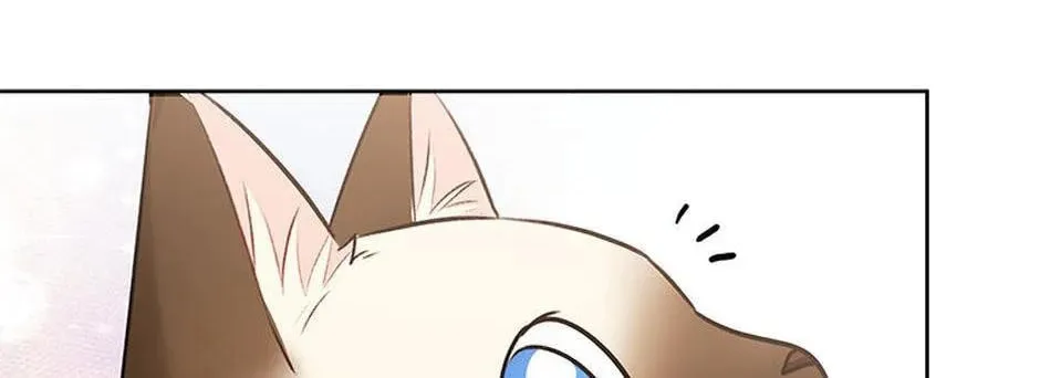Veterinarian! Hello? Chapter 33 page 74 - 