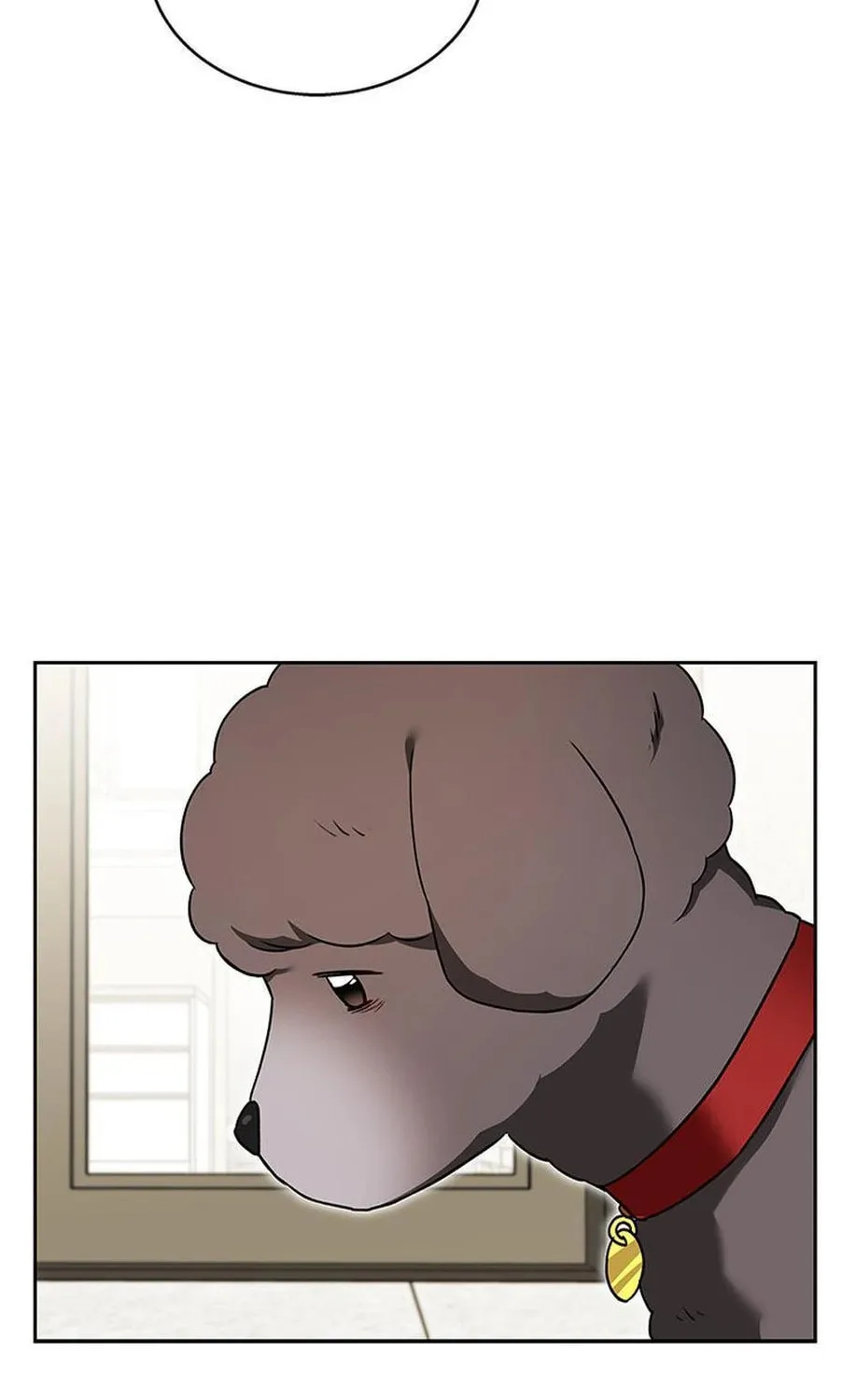 Veterinarian! Hello? Chapter 34 page 25 - 