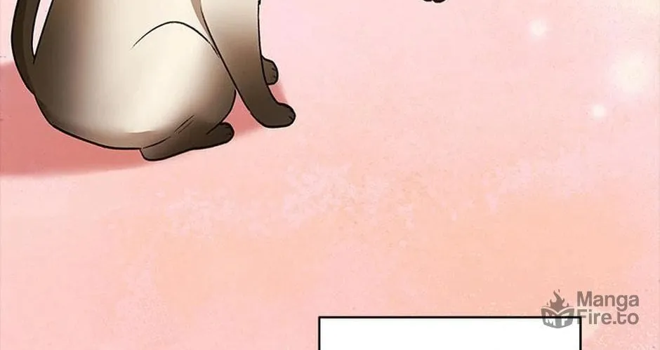 Veterinarian! Hello? Chapter 34 page 36 - 