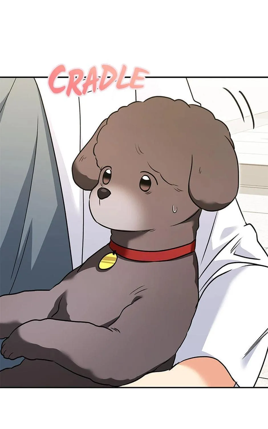 Veterinarian! Hello? Chapter 34 page 71 - 