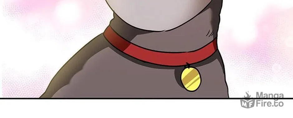 Veterinarian! Hello? Chapter 34 page 98 - 