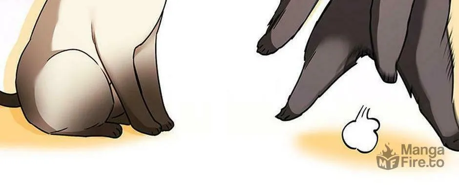 Veterinarian! Hello? Chapter 34 page 100 - 