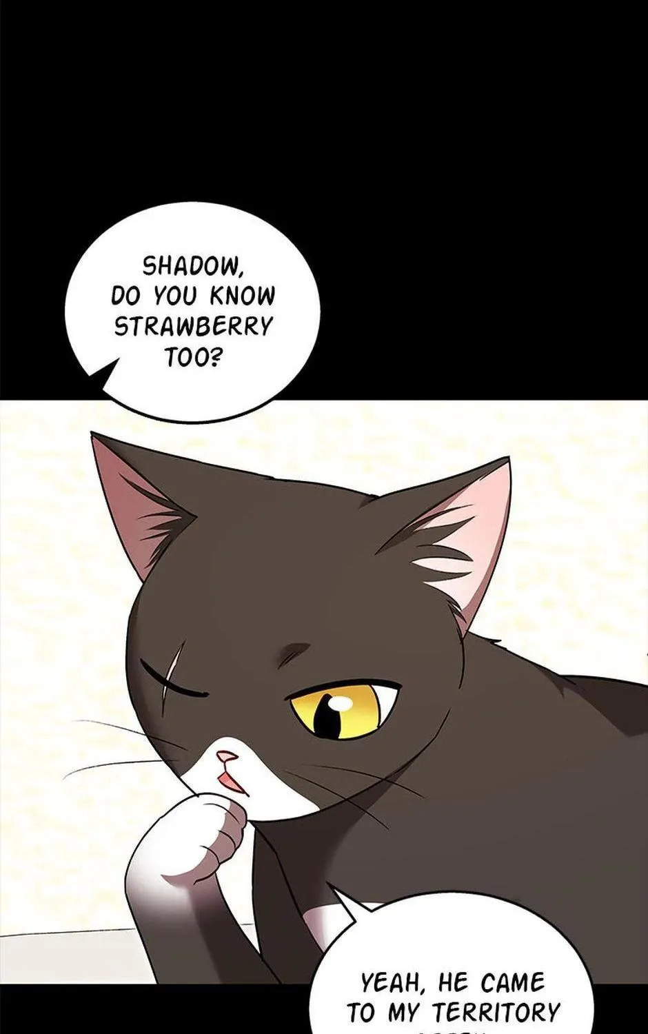 Veterinarian! Hello? Chapter 35 page 5 - 