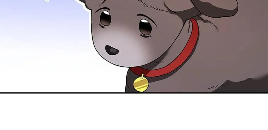 Veterinarian! Hello? Chapter 35 page 56 - 