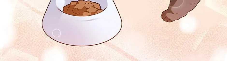 Veterinarian! Hello? Chapter 35 page 62 - 
