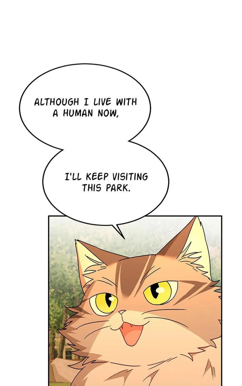 Veterinarian! Hello? Chapter 38 page 91 - 