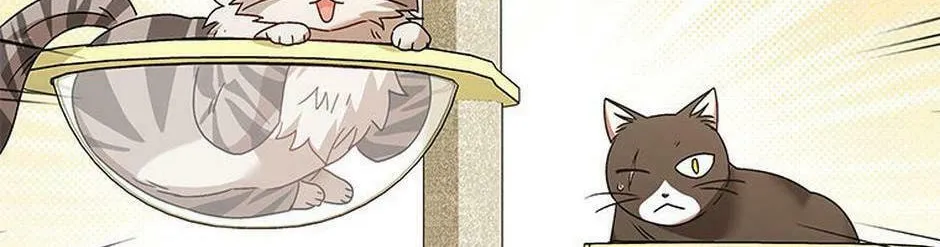 Veterinarian! Hello? Chapter 39 page 106 - 