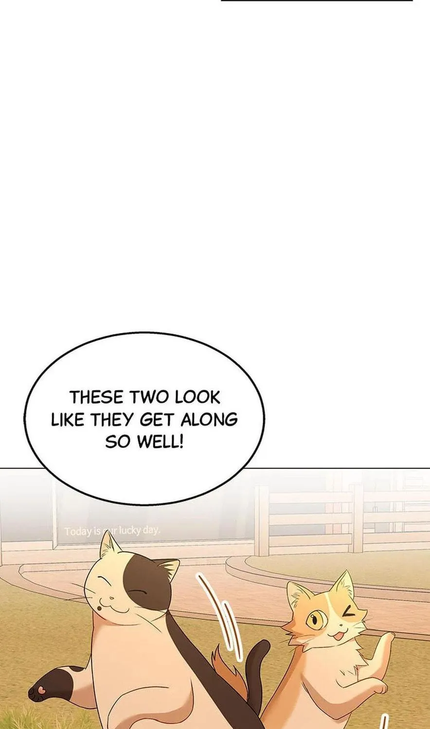 Veterinarian! Hello? Chapter 39 page 29 - 