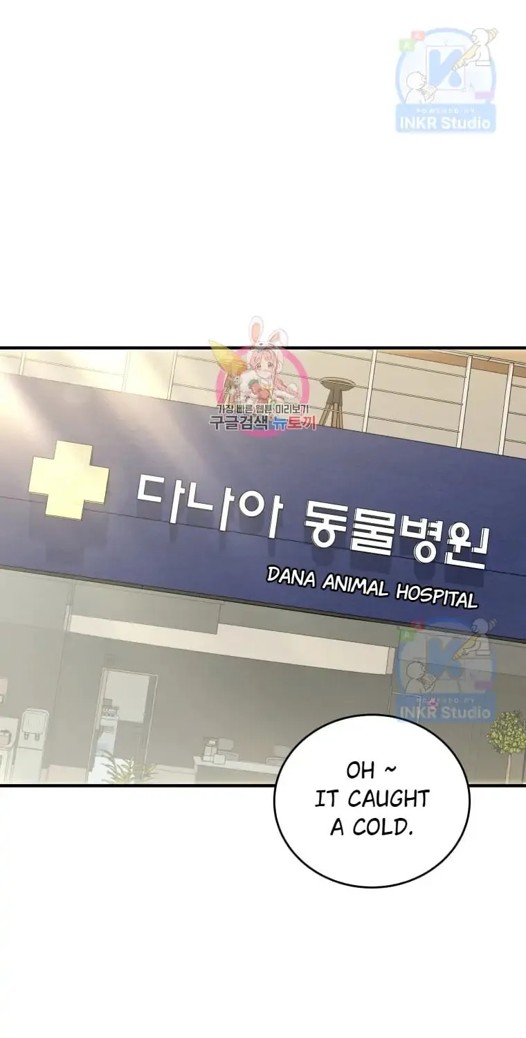 Veterinarian! Hello? Chapter 4 page 1 - 