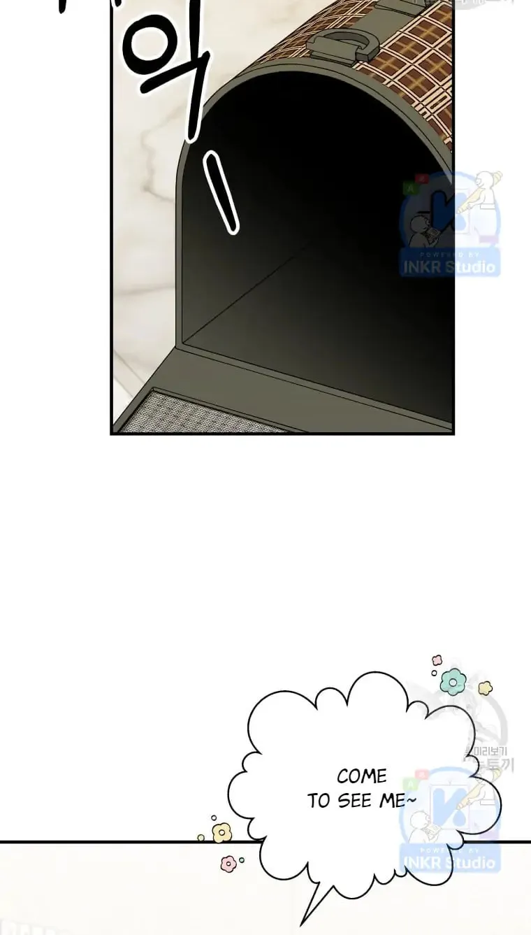Veterinarian! Hello? Chapter 4 page 34 - 