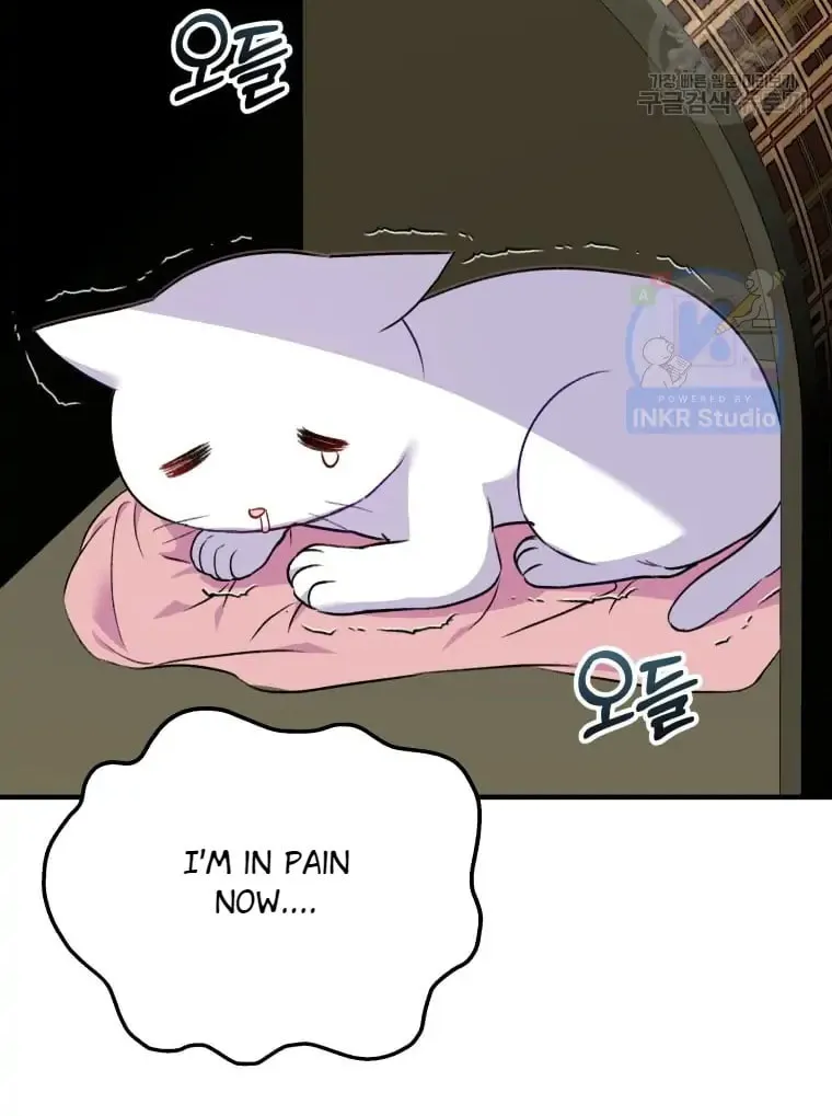 Veterinarian! Hello? Chapter 4 page 38 - 