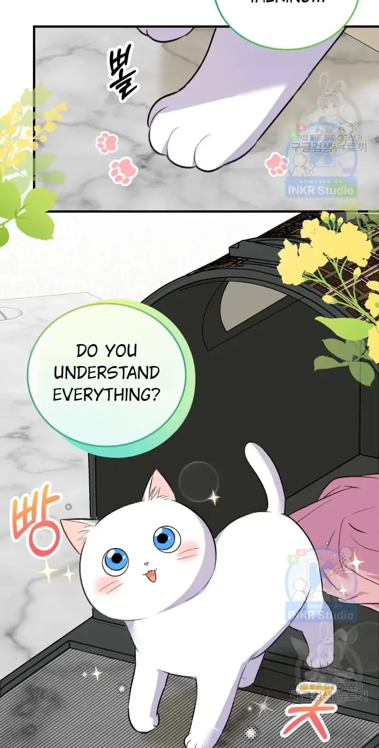 Veterinarian! Hello? Chapter 4 page 48 - 