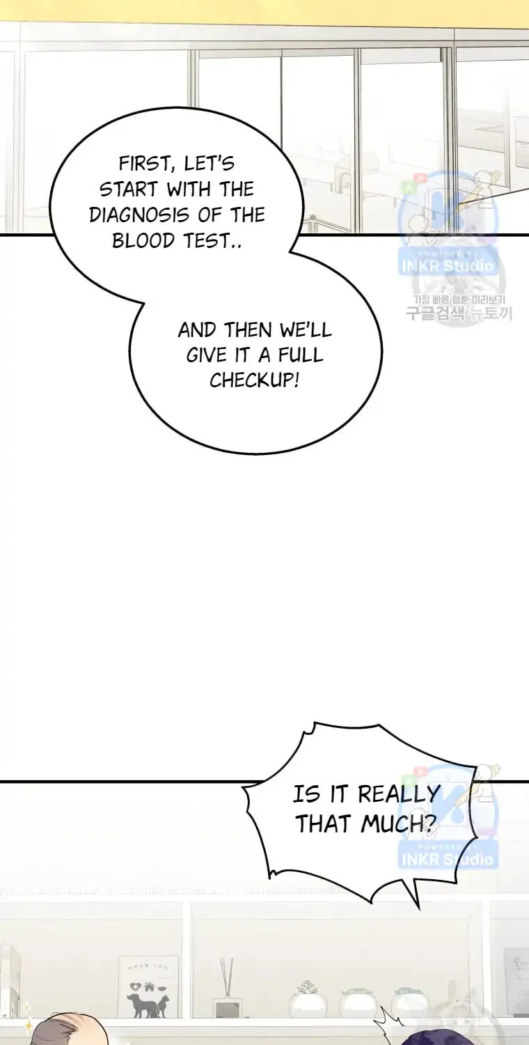 Veterinarian! Hello? Chapter 4 page 6 - 