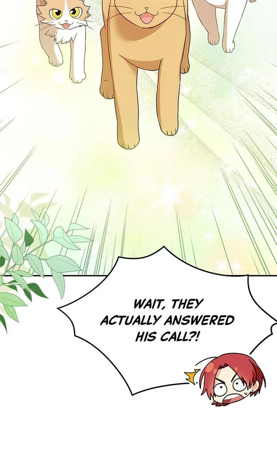 Veterinarian! Hello? Chapter 40 page 33 - 