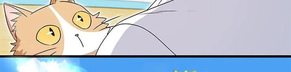 Veterinarian! Hello? Chapter 40 page 74 - 