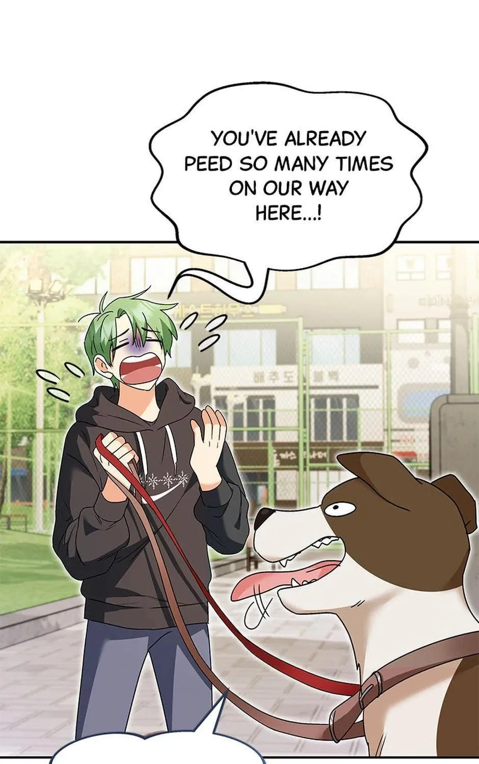 Veterinarian! Hello? Chapter 41 page 11 - 