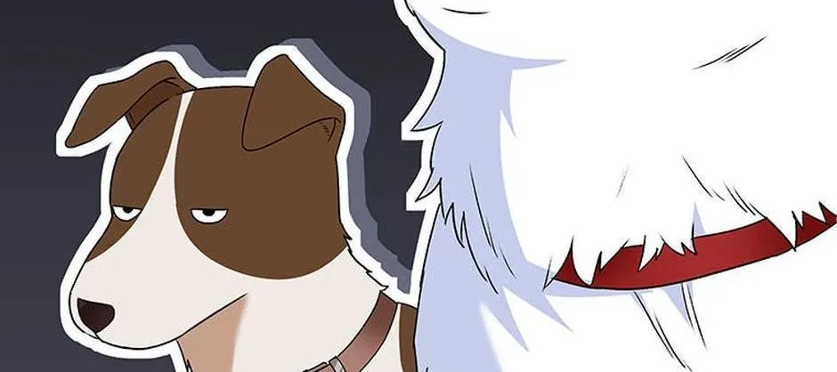 Veterinarian! Hello? Chapter 41 page 116 - 