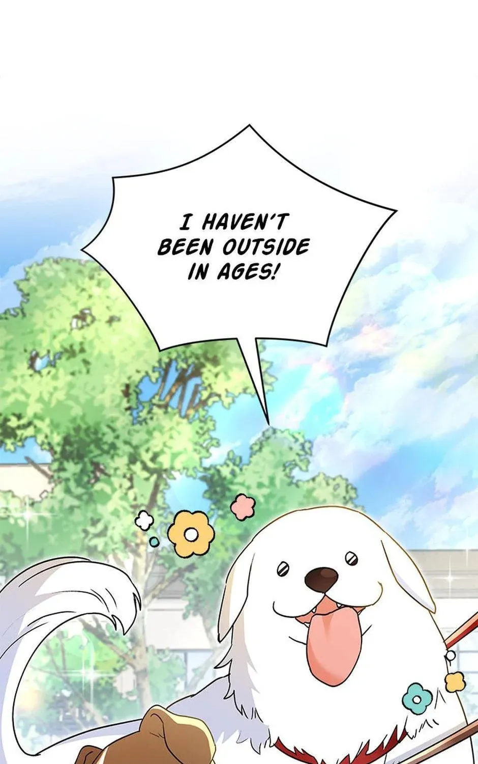 Veterinarian! Hello? Chapter 41 page 3 - 