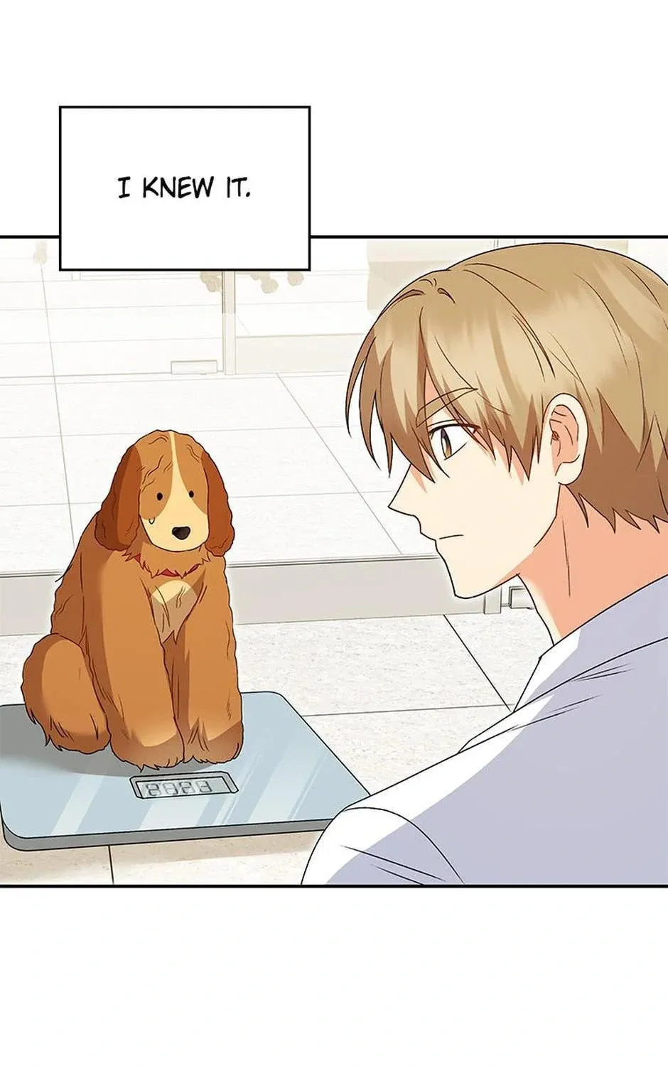 Veterinarian! Hello? Chapter 42 page 105 - 