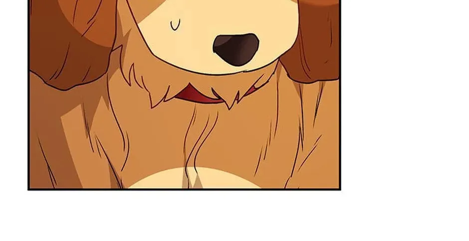 Veterinarian! Hello? Chapter 42 page 122 - 