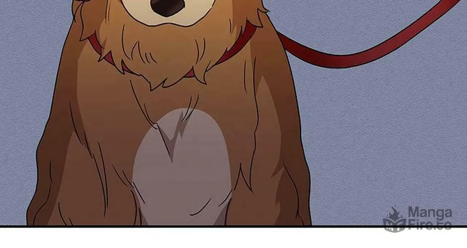 Veterinarian! Hello? Chapter 42 page 30 - 