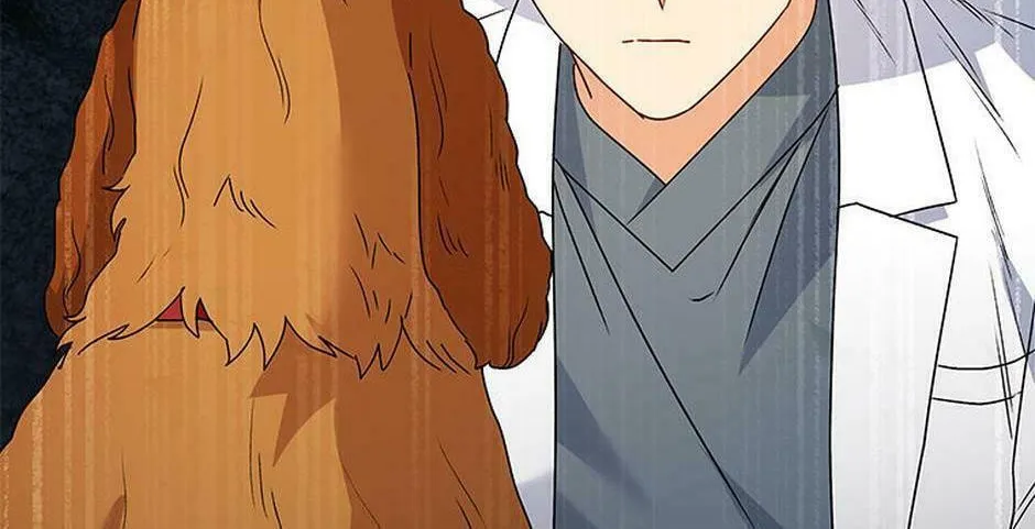 Veterinarian! Hello? Chapter 42 page 52 - 